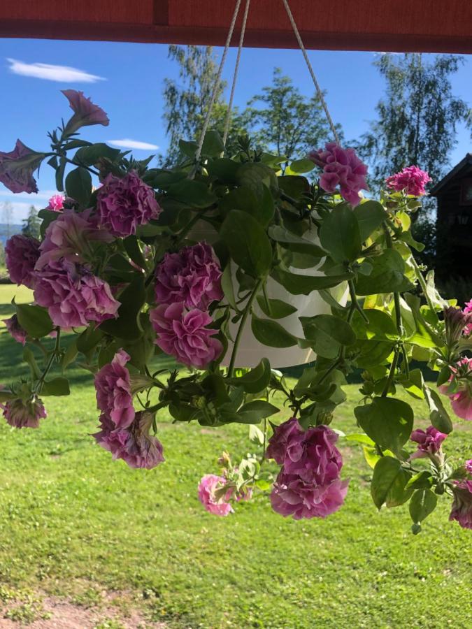Mysigt Boende I Raettvik Med Utsikt Oever Siljan Exterior photo