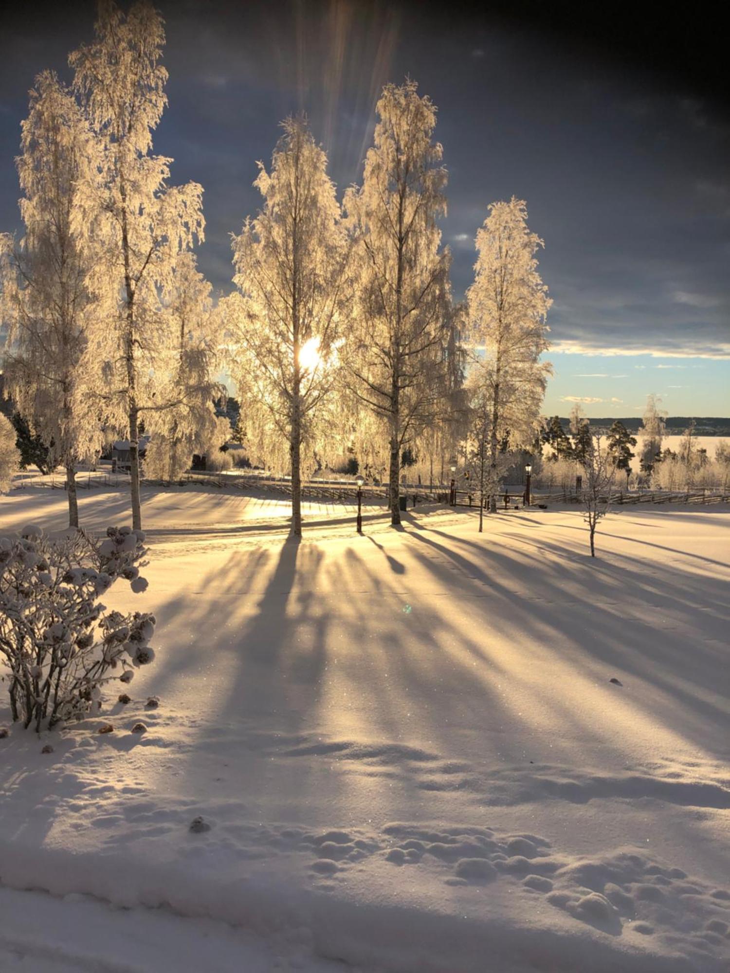 Mysigt Boende I Raettvik Med Utsikt Oever Siljan Exterior photo
